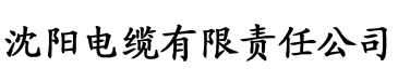 女伴男装的娇县令电缆厂logo